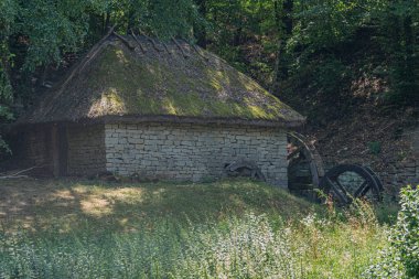 Kırsal Orta Avrupa köyü, sazdan çatılı ve su değirmeni tekerlekleri olan eski taş bina, ağaçlarla ve çalılarla doğal ortam, öğleden sonra aydınlatma, gerçekçi fotoğrafçılık,