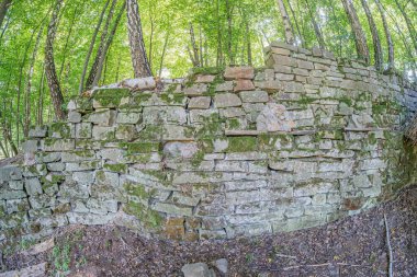 Orta Avrupa 'da bir köyde, kısmen yosun ve yosunla kaplanmış, düzensiz büyüklükteki taşlardan yapılmış eski taş yapılar sessiz renklere hükmediliyor.