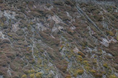 Eski bir Orta Avrupa köyünde engebeli, kayalık yamaç manzarası seyrek bitki örtüsü, yumuşak ışıklandırma, sessiz toprak tonları
