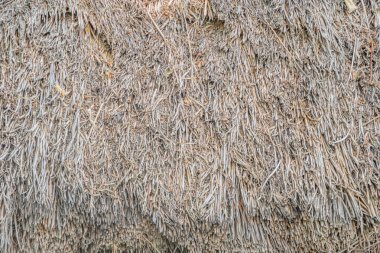 Eski bir Orta Avrupa köyünde sazdan yapılmış bir çatı yapısına yakın çekim, toprak tonları ve sazlığa benzer malzemeler içeriyor.