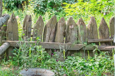 Eski ahşap çit, yıpranmış kiremitler, yemyeşil bahçe, bitkiler, çiçekler, çalılıklar, metal konteynır, gündüz vakti, doğal güneş ışığı sakin, dağınık bahçe ortamı.