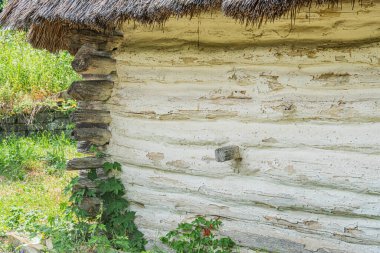 Orta Avrupa 'da terk edilmiş bir köydeki eski ahşap bina, ağaçlardaki bitkilerin büyümesi, ön planda insan yapımı ağaçlarla çelişen, uzun süredir bakımsız yemyeşil bir alan olduğunu gösteriyor.