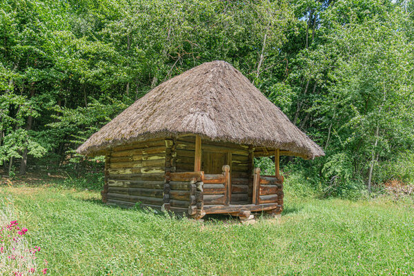 Деревянная деревенская хижина с соломенной крышей в густой сельской местности Центральной Европы Никакие люди не видны поздно вечером освещение Естественная цветовая гамма коричневого и зеленого цвета Candid, Natura