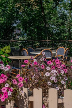 Modern bir şehirde açık hava yemekleri, yumuşak doğal ışık, dört mavi kareli sandalyeli yuvarlak masa, canlı pembe çiçekler, yemyeşil yapraklar, el değmemiş beyaz masa yüzeyi, sağlıklı ağaçlar.