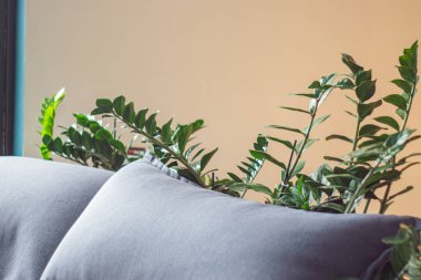 Konforlu oda köşesi, yumuşak ışık, yansıtıcı yüzeyli pelüş gri koltuk, koyu tencerede saksı yeşili bitki, muhtemelen oturma odası çalışması, bastırılmış gün ışığı.