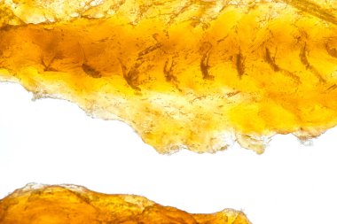 Canlı sarı yosun yakın plan, muhtemelen yeni hasat edilmiş, kurutmak veya incelemek için serpiştirilmiş. İnce doku değişimleri ve büyüme aşamaları gösteriyor. Başka nesne ya da ayar yok.