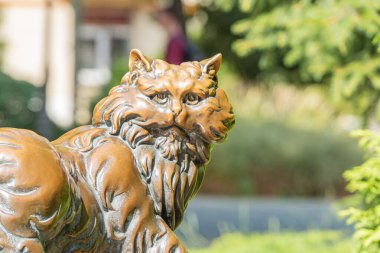 Açık hava bronz kedi heykeli zengin kahverengi patinalı, gerçekçi kürk deseni, tetikte duruşu, yeşilliğin ortasındaki bir bahçe bankına yerleştirilmiş anlamlı bakışları yok ne Kyiv, ne Ukrayna 07-05-2025