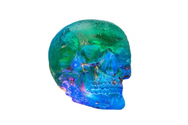 Mavi renkli, üç boyutlu insan kafatası heykeli. Karmaşık detaylar içeriyor. Bireysel dişler ve kemik dokuları.