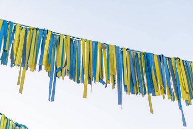 Mavi ve sarı renkli iki sıra dikey, yırtık Ukrayna bayrakları. Açık havada dizilmiş. Işıklar doğal gölgeler yaratır.