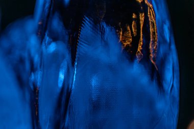 Bir bardak suda mavi bir buz küpünün yakın çekimi, serin mavi ile sıcak turuncu ışık yüzeyinin hafifçe çatlamış olması, minimalist arka plan