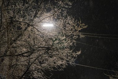 Gece vakti, karlı bir manzara. Önplanda karla yüklü bir ağaç. Sokak ışığı, gece gökyüzüne karşı arka planda elektrik hatlarının kısmen görülebilirliğini sağlıyor.