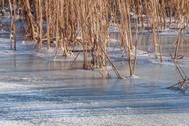 Donmuş yüzeyi, soğuk açık mavi, dağınık kar yamaçları, sazlıklar ve kenar boyunca uzanan uzun otları yansıtan sakin, buzlu bir göl.