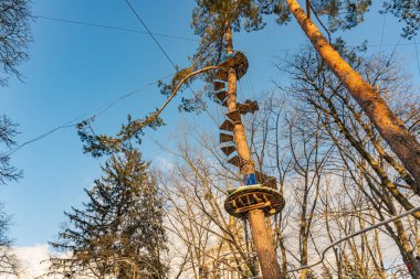 Büyük bir ağaç, yüksek platform, halat merdiveni ve sarmaşıkların bulunduğu açık hava manzarası, bir ormanda ya da ormanlık alanda hafif ışıklandırma altında, gerçekçi fotoğrafçılık tarzının üzerindeki açık mavi gökyüzü