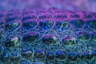 Su altı baloncuk dizisi, yeşil ve kırmızı yansımalı renkli baloncuklar, mor 'dan mavi' ye geçiş yapan eğimli arka plan, mozaik cam efekti, makro fotoğraf tarzı, çeşitli boyutlar, farklı