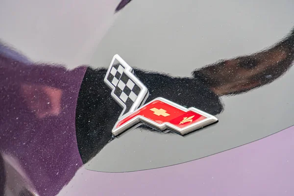 Sağ arka tarafında kareli amblem olan koyu renkli bir arabanın görüntüsü. Kapalı bir yere park edilmiş yapay ışık altında Kyiv, Ukrayna 10-12-2024