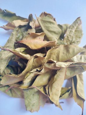 Aromatik kurutulmuş körfez yaprakları aşçılık otu ve baharat olarak kullanılan beyaz arka planda izole edilmiş.