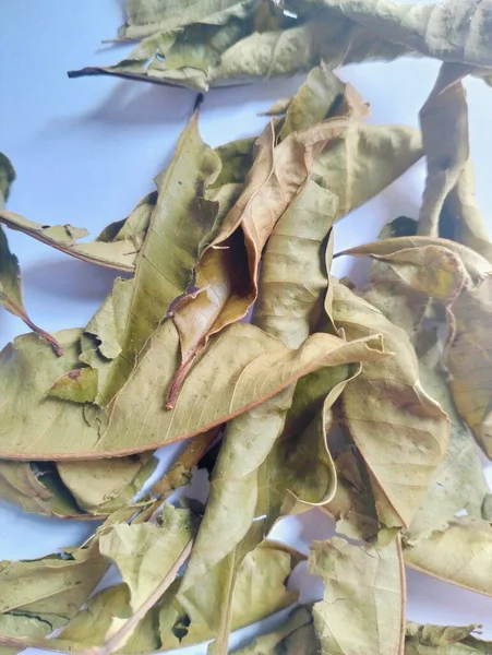 Aromatik kurutulmuş körfez yaprakları aşçılık otu ve baharat olarak kullanılan beyaz arka planda izole edilmiş.