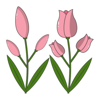 Hoş el çizimi tarzında laleler serisi, arka planda izole edilmiş. Bahar tasarımı, tebrik kartları, davetiyeler, düğün dekorasyonu ve çiçek temalı projeler için mükemmel..