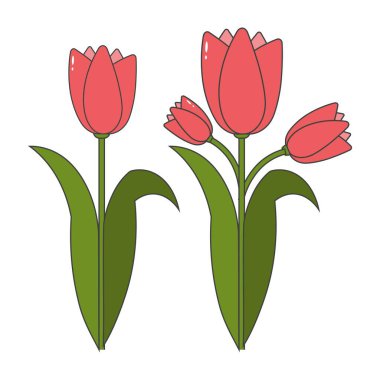 Hoş el çizimi tarzında laleler serisi, arka planda izole edilmiş. Bahar tasarımı, tebrik kartları, davetiyeler, düğün dekorasyonu ve çiçek temalı projeler için mükemmel..