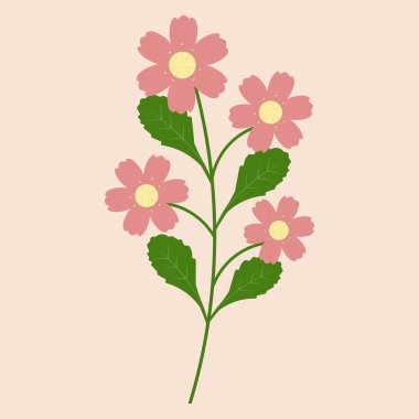 Bahar tasarımları, botanik temalar, tebrik kartları, tebrik kartları, desenler ve diğer dekoratif ihtiyaçlar için çeşitli renk ve boyutlarda çiçeklerin yer aldığı yeşil saplı ve yapraklı papatya çiçeği çizimleri..