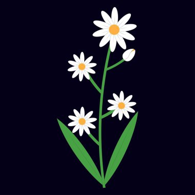 Bahar tasarımları, botanik temalar, tebrik kartları, tebrik kartları, desenler ve diğer dekoratif ihtiyaçlar için çeşitli renk ve boyutlarda çiçeklerin yer aldığı yeşil saplı ve yapraklı papatya çiçeği çizimleri..