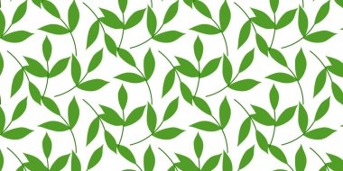 Doğal yeşil tonlarda modern botanik yaprak tasarımı içeren tropikal yaprak deseni. Tekstil, kumaş, duvar kağıdı, ambalaj, markalaşma, ambalaj kağıdı, arkaplan dekorasyonu ve yüzey tasarım projeleri için mükemmel