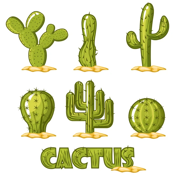 Cactus collectie vector — Stockvector