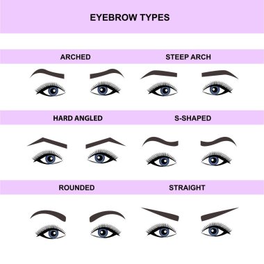 Kaş şekilleri, kaş kılavuzu vektör kılavuzları