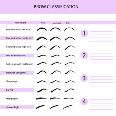 Kaş sınıflandırması, kaş eğitim materyalleri, vektör illüstrasyonu, bilgi grafikleri