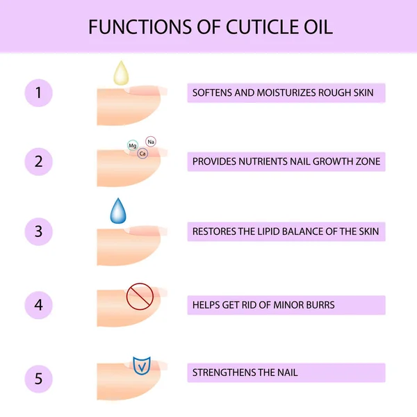 ¿Por qué usar aceite de cutícula? Guía de manicura profesional, ilustración vectorial, infografías — Vector de stock