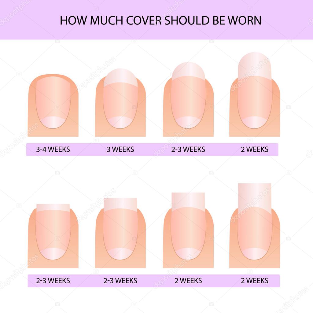 How long does it take to walk with a coated gel polish. Professional manicure guide, Vector illustration, infographics