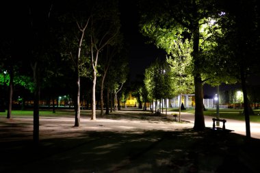 Geceleri aydınlık ağaçlar ve patikalarla dolu sakin bir park.