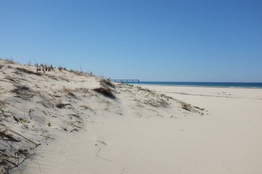 Yumuşak kum tepecikleri, seyrek bitki örtüsü ve açık mavi gökyüzü içeren sakin bir sahil sahnesi.