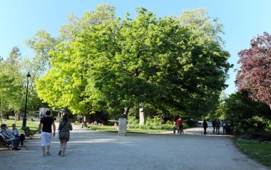Yürüyen insanların, yemyeşil ağaçların ve bankların olduğu güneşli bir park sahnesi.