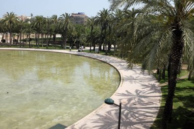 Etrafı palmiye ağaçlarıyla çevrili, berrak mavi bir gökyüzünün altında, suyun etrafında kıvrılan bir patika olan, dairesel bir gölet içeren sakin bir park sahnesi.