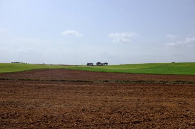 Yeşil çimenleri ve kahverengi toprağı olan yuvarlanan tepelerin, berrak mavi gökyüzünün altında kabarık bulutların olduğu manzaralı bir manzara.