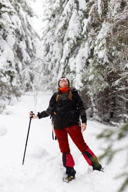 Neşeli bir yürüyüşçü derin karda duruyor, sakin bir ormanda yukarıya bakıyor. Uzun, karla kaplı ağaçlarla çevrili sahne, saf kış büyüsü yayıyor, keşif ve barışa davetiye çıkarıyor..