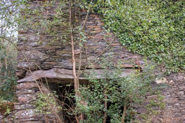 İspanya, Galiçya 'daki yabani bitkilerin arasına gizlenmiş terk edilmiş bir ev.