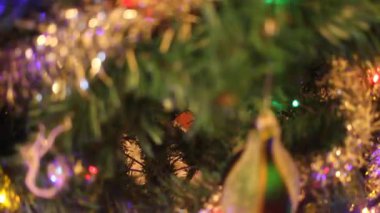 Yılbaşı ışıkları Noel ağacında evde