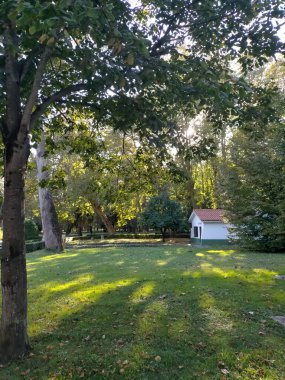 Gijon, Asturias, İspanya 'daki bir parkın güzelliği ve sükuneti. Cantabrian kıyısında turistik bir yer.