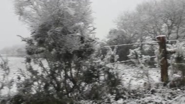 İspanya, Galiçya 'nın kırsal kesimi karla dolu.