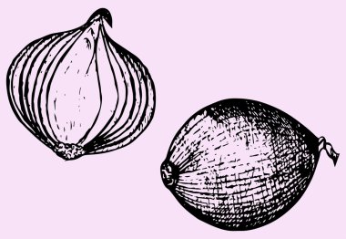 Kuru soğan, doodle stili