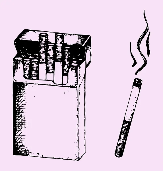 Pacote de cigarros e cigarro aceso — Vetor de Stock