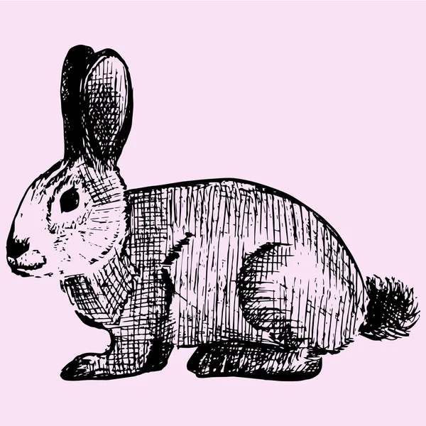 Lepre coniglio, stile doodle — Vettoriale Stock