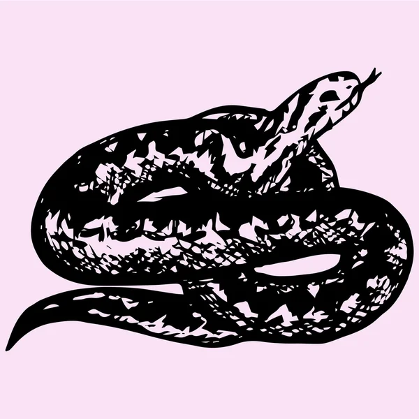 Snake, doodle stijl. Vector — Stockvector