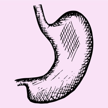 mide, elle çizilmiş, doodle stili