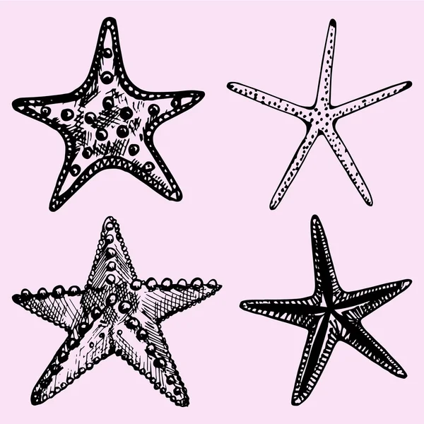 Deniz yıldızı, elle çizilmiş kümesi — Stok Vektör
