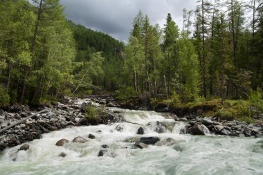 Şelale yosunlu kayaların üzerine düşüyor