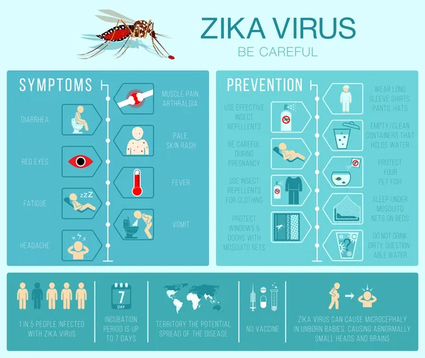 Zika Virus. Preventie en symptomen. Infographics. — Stockvector
