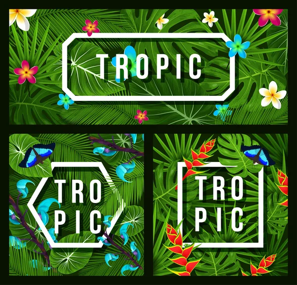 Three modern tropical background, jungle leaves, plumeria, tropical flowers. Butterfly. Trendy background. Vector illustration — Stock Vector